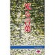 光る言葉（道友社新書）