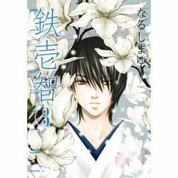 鉄壱智 3（IDコミックス ZERO-SUMコミックス） [コミック]