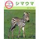 くらべてみよう!どうぶつの赤ちゃん〈2〉シマウマ [単行本]