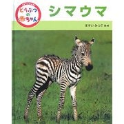 くらべてみよう!どうぶつの赤ちゃん〈2〉シマウマ [単行本]