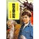 鉄塔王国の恐怖―少年探偵(ポプラ文庫クラシック) [文庫]