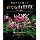 育てる山野草―野山の花と暮らす [全集叢書]