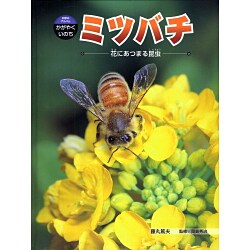 ヨドバシ Com ミツバチ 花にあつまる昆虫 科学のアルバム かがやくいのち 4 全集叢書 通販 全品無料配達