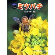 ミツバチ－花にあつまる昆虫（科学のアルバム・かがやくいのち 4） [全集叢書]