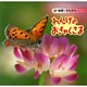 れんげのおきゃくさま（自然きらきら 8） [絵本]