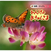 れんげのおきゃくさま（自然きらきら 8） [絵本]