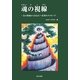 魂の視線―光の教師からあなたへ真実のメッセージ [単行本]