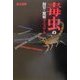 毒虫の飼育・繁殖マニュアル [全集叢書]