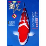 鱗光 1999 12 [単行本]