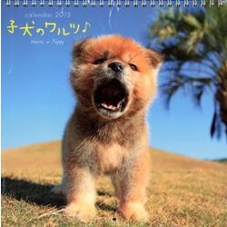 子犬のワルツCALENDAR 2013 [カレンダー]