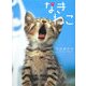 なきねこ [単行本]