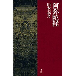 阿弥陀経 [新書]