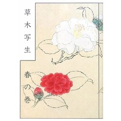 草木写生 春の巻 [単行本]