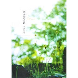 草木たちの朝 [単行本]