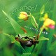 わたしはアマガエル―green angel [単行本]