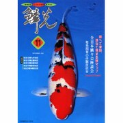 鱗光 1999 11 [単行本]