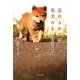 忘れられない名犬たち―6つの真実の物語 [単行本]