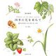 四季の花を束ねて―透明水彩絵の具で描く花45種 水彩画集 [単行本]