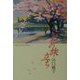 花の旅立ち [単行本]