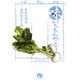 味いちもんめ<7>(コミック文庫（青年）) [文庫]