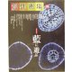 創作市場〈33〉藍に遊ぶ [全集叢書]