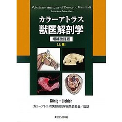獣医解剖学 増補改訂版 上巻 Amazon.co.jp: カラーアトラス獣医解剖学 増補改訂第2版 上巻