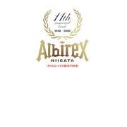 アルビレックス新潟11年史 [単行本]