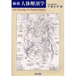 線描人体解剖学 [単行本]