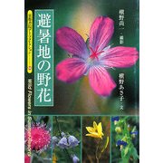 避暑地の野花(京都書院アーツコレクション) [文庫]