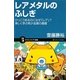 レアメタルのふしぎ―けっこうあるのになぜ「レア」?楽しく学ぶ希少金属の基礎(サイエンス・アイ新書) [新書]