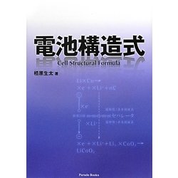 電池構造式 [単行本]