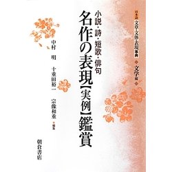 日本語文章・文体・表現事典 文学編 名作の表現"実例"鑑賞 縮刷版 [事典辞典]