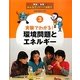 実験でわかる!環境問題とエネルギー(実践!体験!みんなでストップ温暖化〈3〉) [全集叢書]