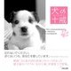 犬の十戒 [単行本]