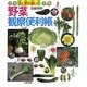 野菜観察便利帳―ふしぎが楽しい [単行本]