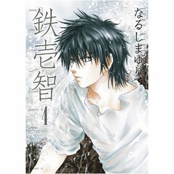 鉄壱智 4（IDコミックス ZERO-SUMコミックス） [コミック]