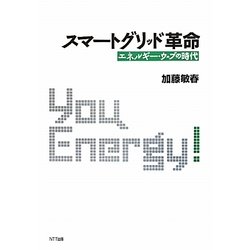 スマートグリッド革命―エネルギー・ウェブの時代 [単行本]