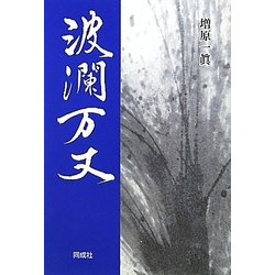 波瀾万丈 [単行本]