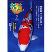 鱗光 2000年7月号 [単行本]
