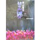 寺山修司 望郷―幡谷紀夫写真集 [単行本]