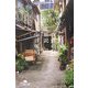 自虐の詩日記(幻冬舎文庫) [文庫]