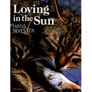 Loving in the Sun [単行本]