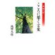 こころに響く言葉―新婦人抄 [単行本]