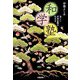 和学塾―美しい日本女性の生き方 [単行本]