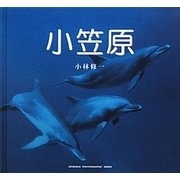 小笠原 [単行本]
