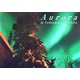 オーロラ日記―in Yellowknife CANADA [単行本]