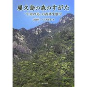 屋久島の森のすがた―「生命の島」の森林生態学 [単行本]