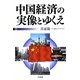 中国経済の実像とゆくえ [単行本]