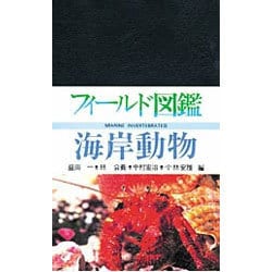 海岸動物(フィールド図鑑) [図鑑]