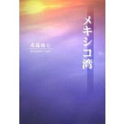 メキシコ湾 [単行本]